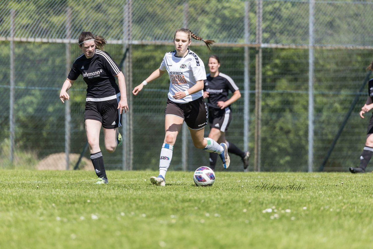 Bild 86 - F SV Henstedt Ulzburg - SV Fortuna Boesdorf : Ergebnis: 3:1